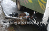 Belthangady : Bus-bike collision; rider dies on spot